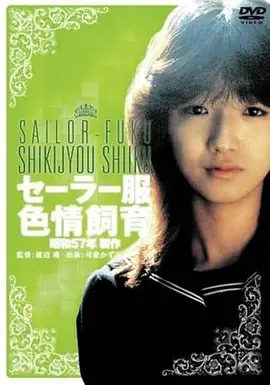 闪灵 1980年恐怖老片